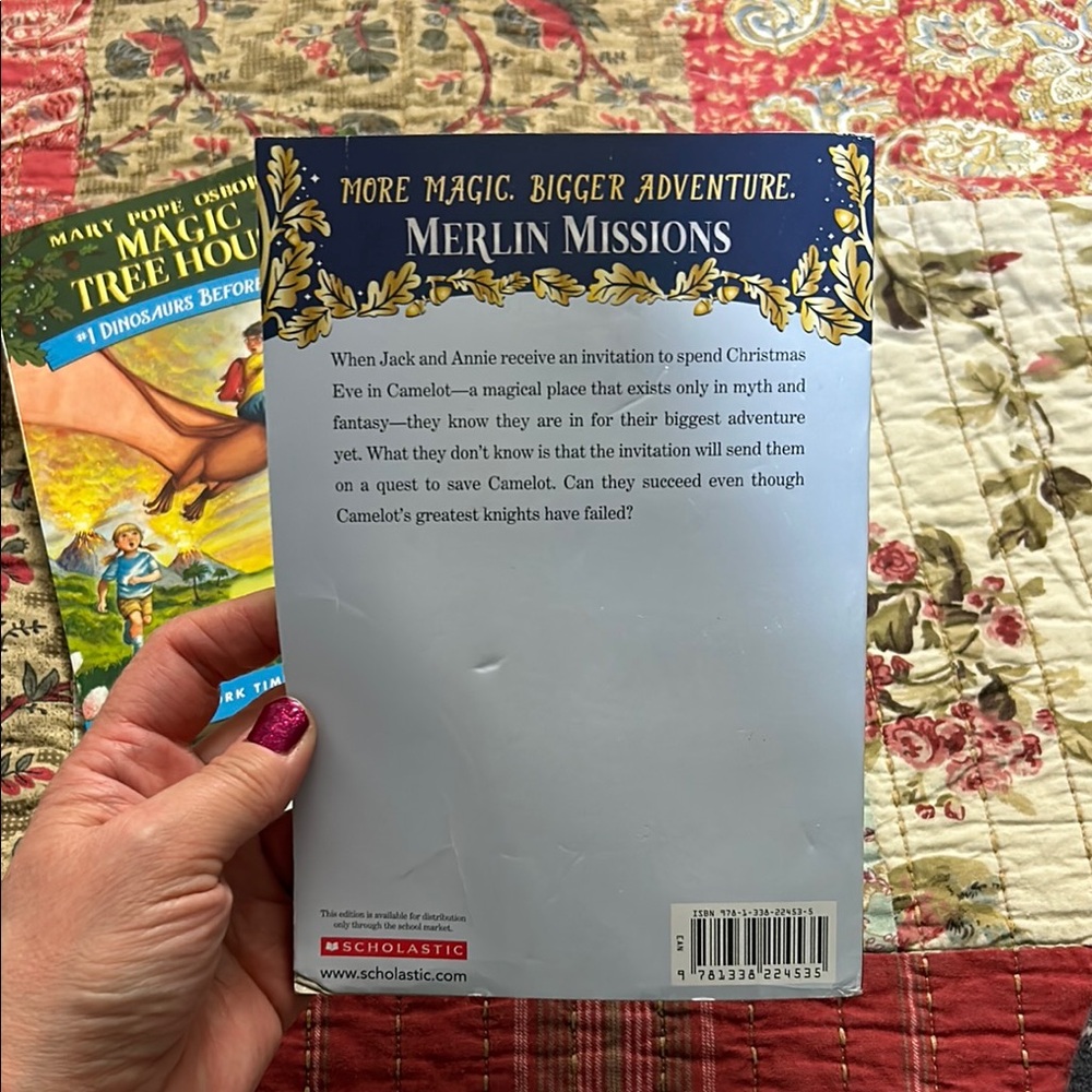 Magic Tree House Book Set - Picture 9 of 10